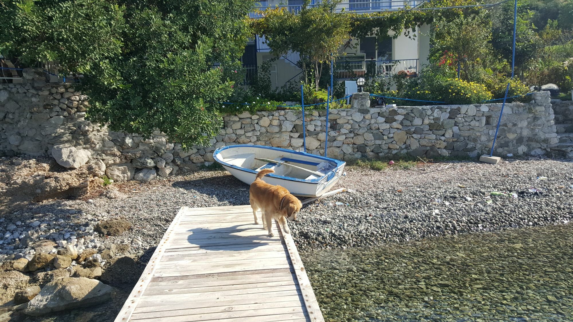 Mavi Akvaryum Otel Selimiye  Bagian luar foto